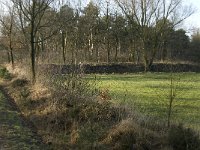 NL, Noord-Brabant, Bergeijk, Zwarte Horstweijer 14, Saxifraga-Jan van der Straaten